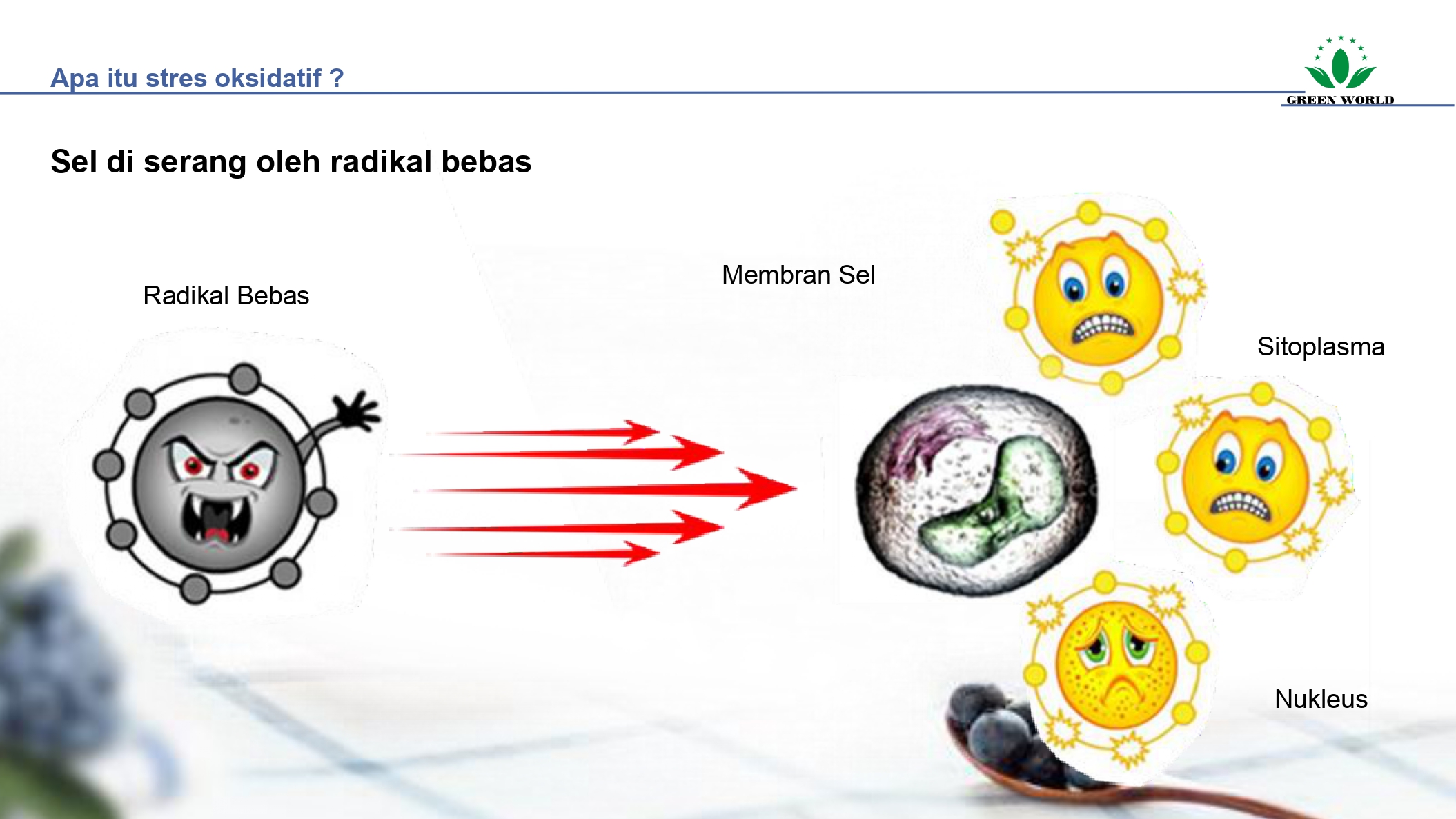 Education content image